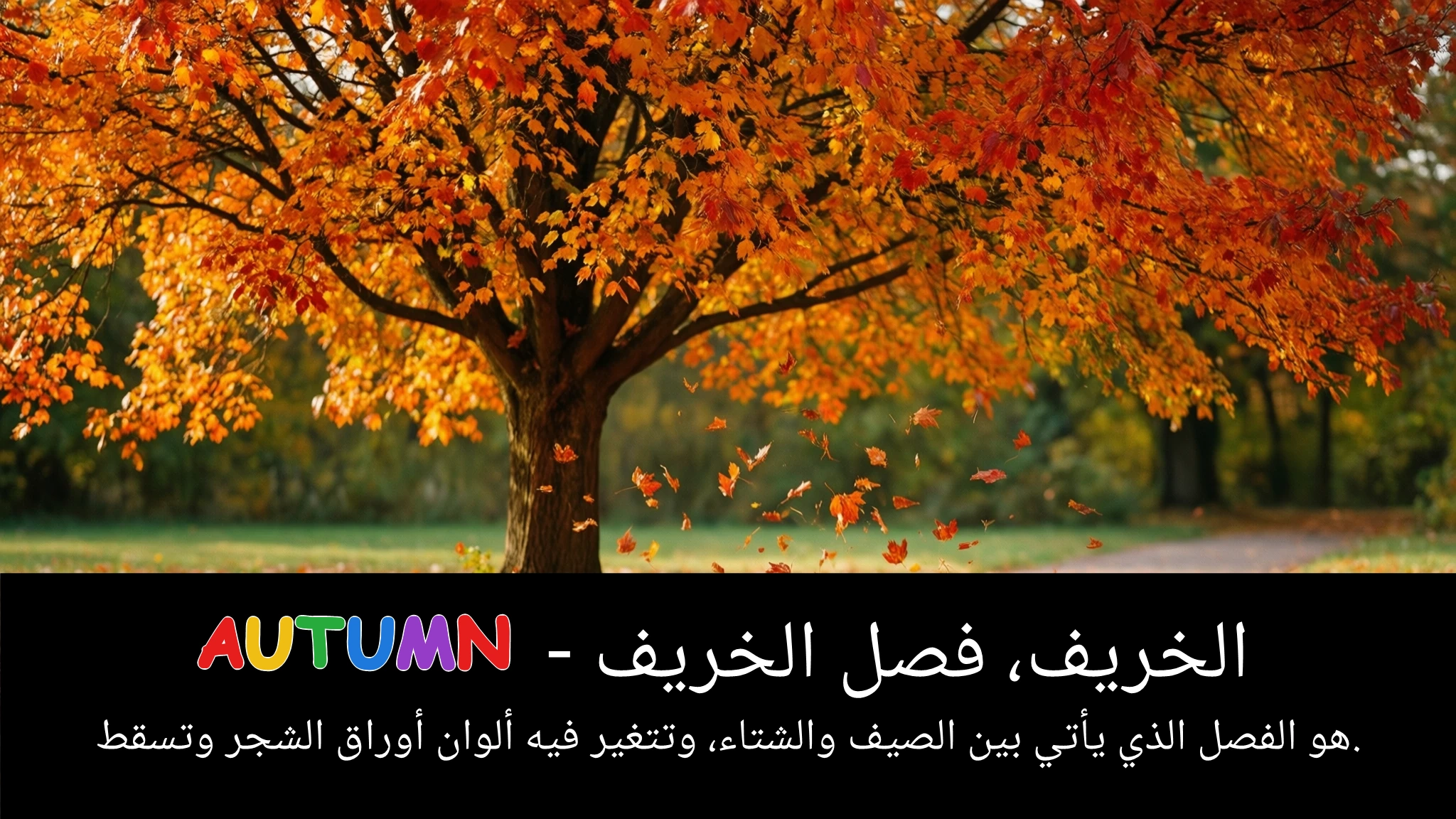 Arabic Illustration for autumn